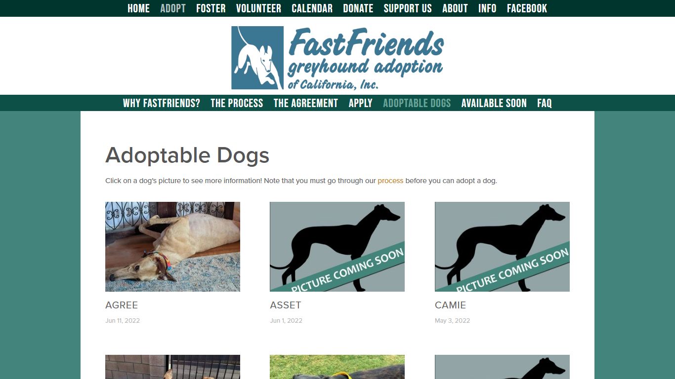 Adoptable Dogs — FastFriends